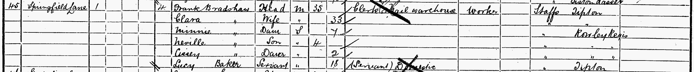 Census details 1901 for Springfield Lane, Rowley Regis, Staffs.