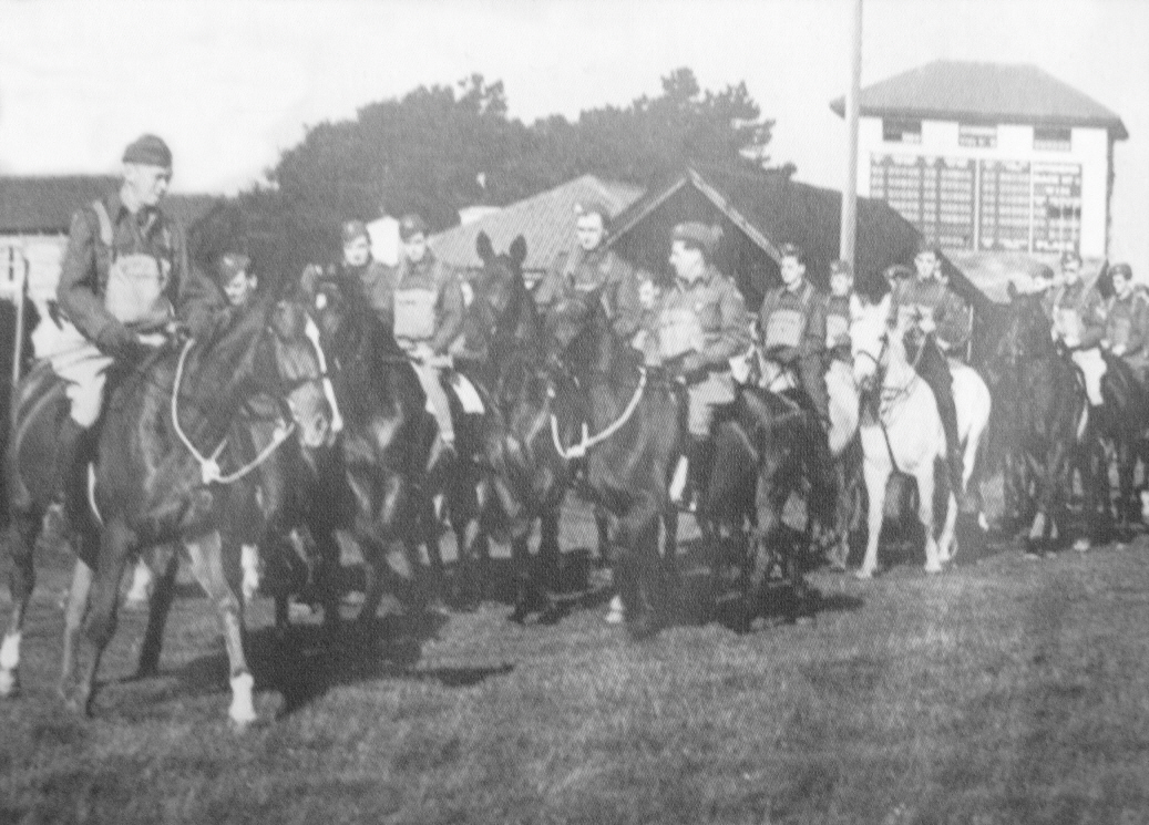 Home Guard Picture