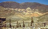 Cactus and Inca Ruins Jujuy